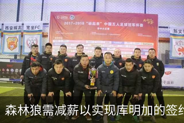 森林狼需减薪以实现库明加的签约计划