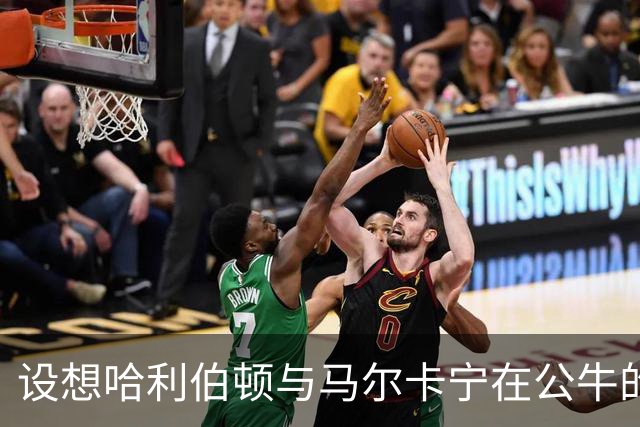 设想哈利伯顿与马尔卡宁在公牛的精彩合作